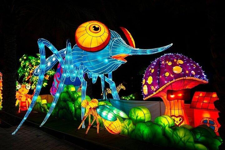 Visitez Dubai Garden Glow avec prise en charge et retour en option