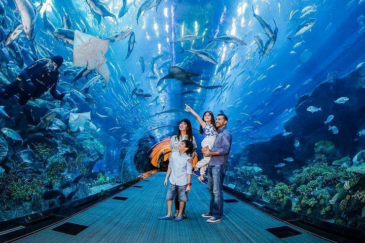 Au sommet, Burj Khalifa + Dubai Aquarium