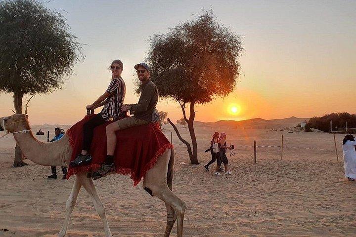 Expérience d'une journée complète de safari dans le désert avec dîner barbecue à Lahbab Dubaï