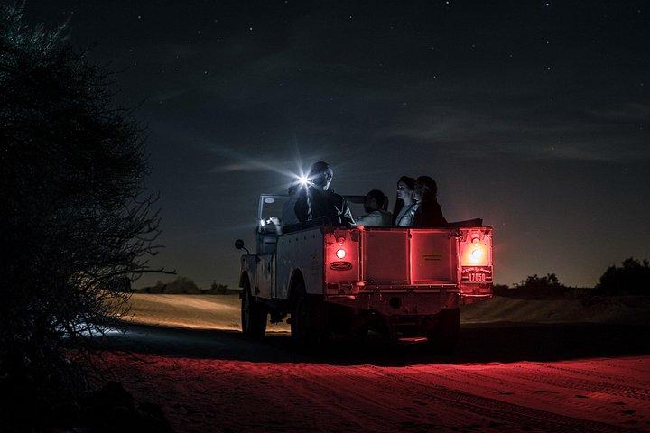 Safari nocturne privé dans le désert et astronomie à Dubaï