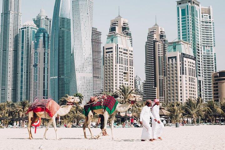 Explorez la visite privée d'une journée complète de la ville de Dubaï
