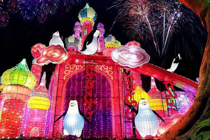 Dubai Glow Garden + billet d'entrée au Dino Park et au Magic Park