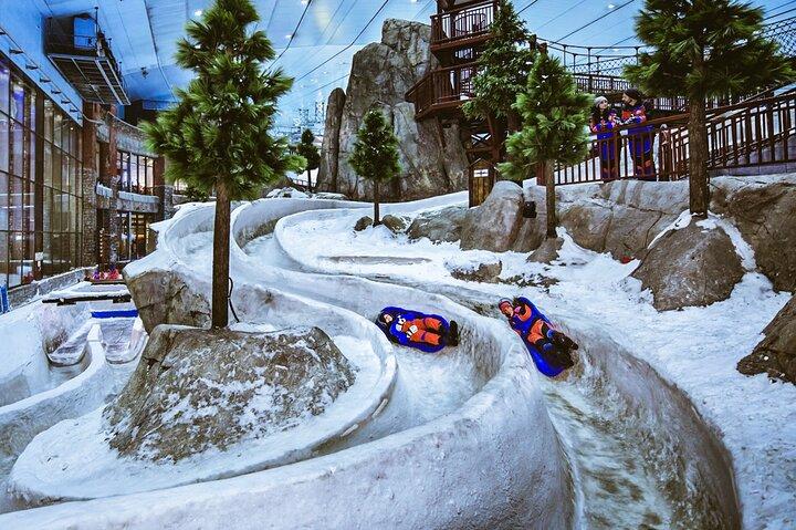 Billets Dubai Miracle Garden et Ski Dubai avec transfert privé