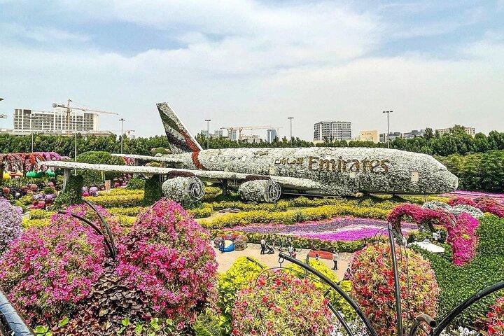 Dubai Miracle Garden et dîner-croisière en boutre en soirée