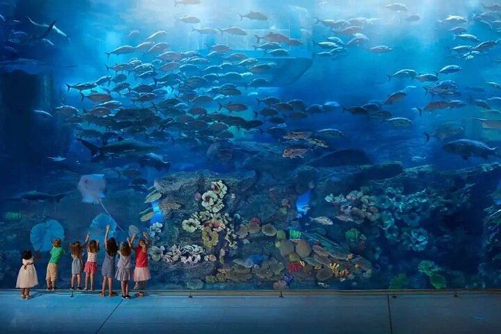 Burj Khalifa au sommet et visite du zoo sous-marin avec transfert