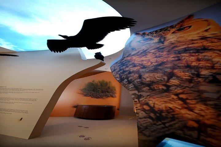 Dubaï: Desert Discovery Adventure