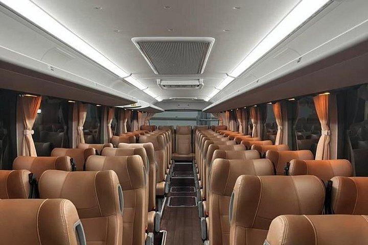 Location de bus pour les groupes de chauffagistes de Dubaï pour des événements ou une visite