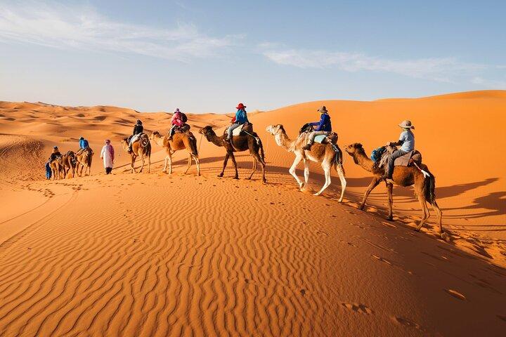 Trekking Camel à Abu Dhabi avec transfert, plaisir et plus encore