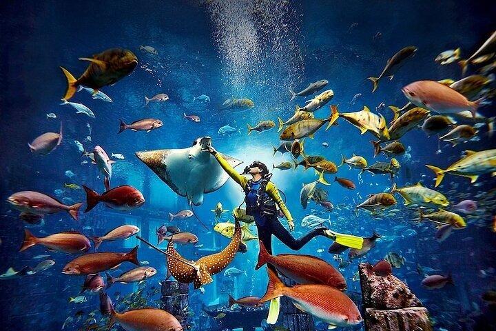 Visite privée de l'aquarium Lost Chambers avec prise en charge et dépôt