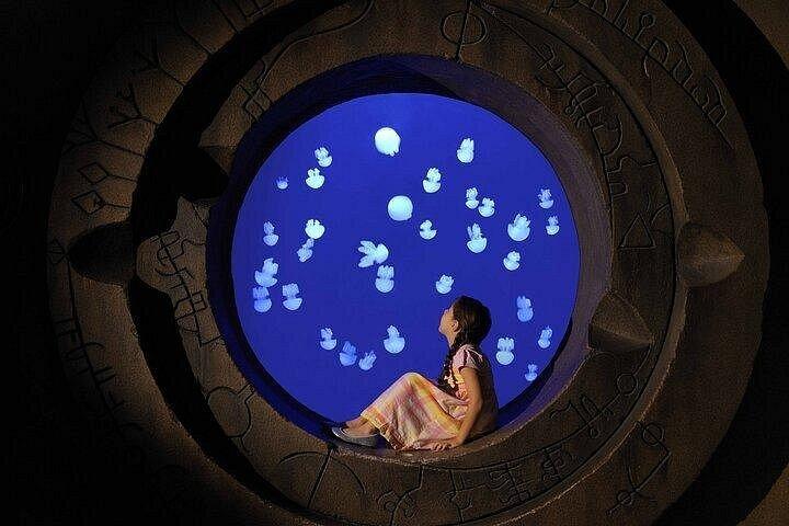 L'aquarium du monde perdu
