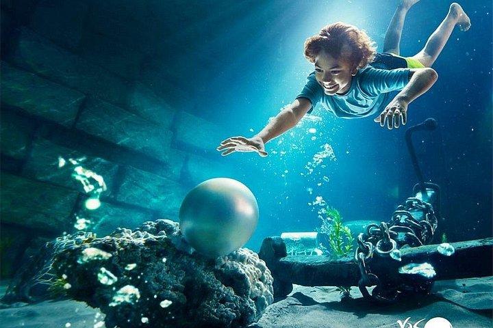 Abu Dhabi: Yas Waterworld Tour avec transport