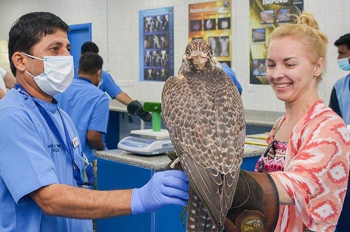 Visite de l'hôpital Falcon d'Abou Dabi avec Guide Expert