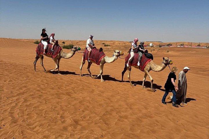 Découverte du désert de Dubaï: Safari des dunes rouges, promenade en planche à sable et en chameau