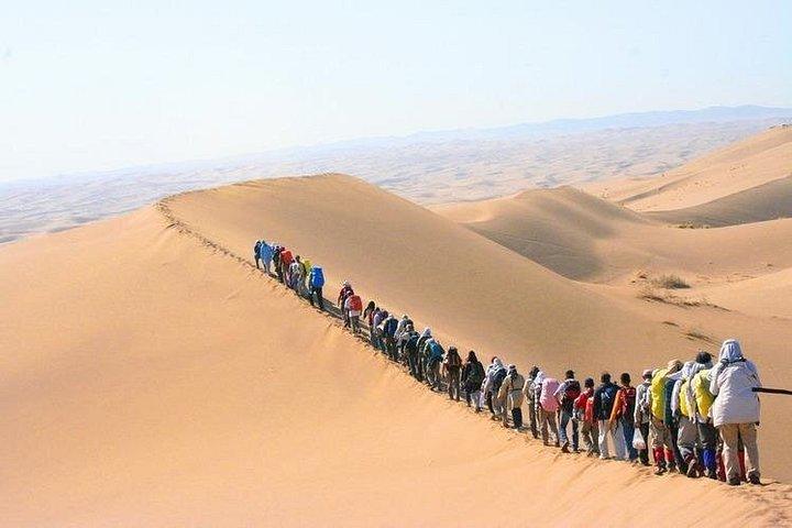 Visite à pied du désert du matin à Abu Dhabi avec promenades en chameau