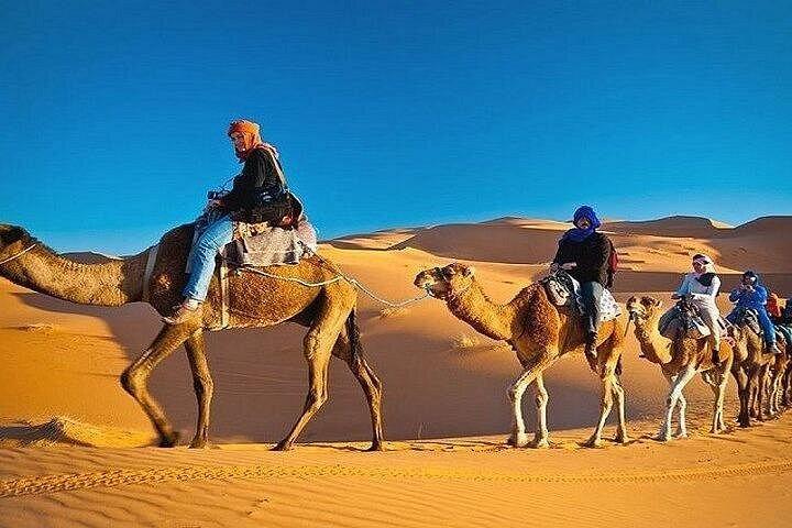 Safari dans le désert du matin avec 200cc Polaris Ride à Dubaï