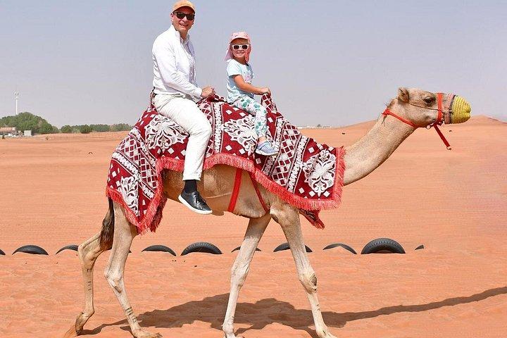 Safari privé du matin, planche de sable, promenade en chameau et photo de faucon