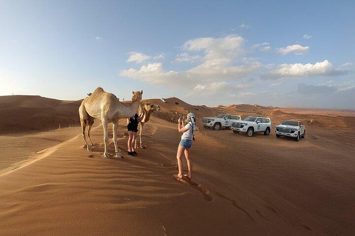 Safari dans le désert de Dubaï avec dîner barbecue et spectacles vivants