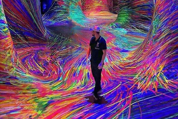 Tour de ville d'Abou Dabi et phénomènes Teamlab
