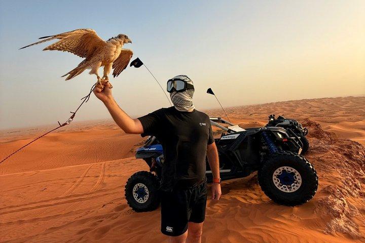 Soirée Safari dans le désert Dubaï : Red Dunes, promenade à dos de chameau, et dîner barbecue